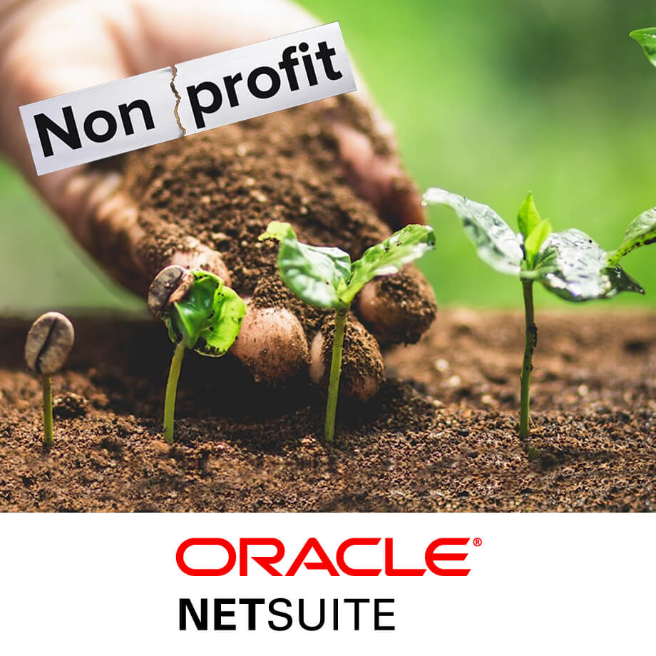 AVT NetSuite for NonProfit Companies