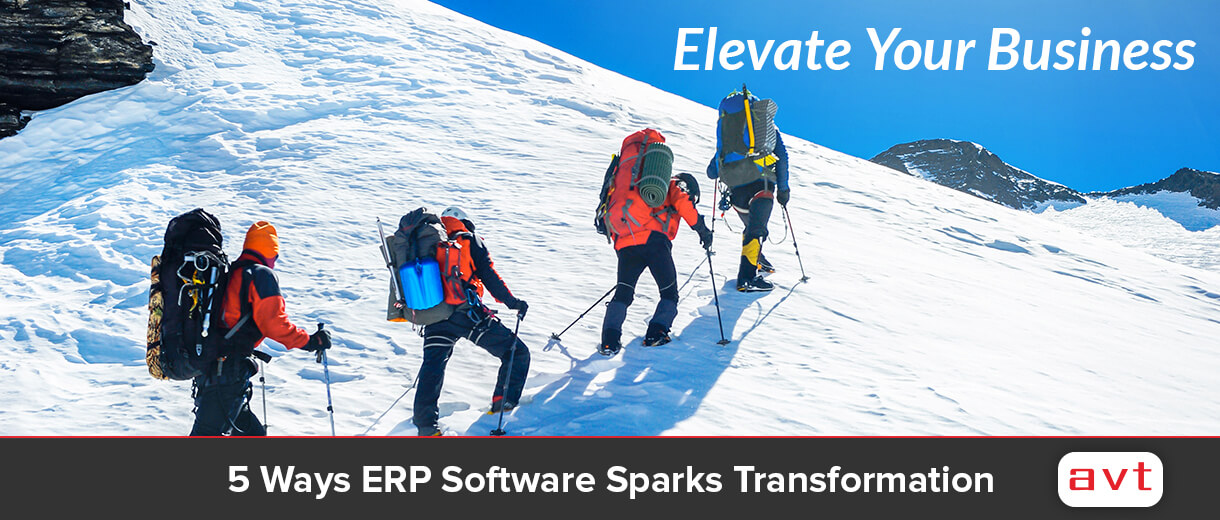 5 Ways ERP Software Sparks Transformation