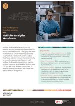 AVT - NetSuite Analytics Warehouse Data Sheet