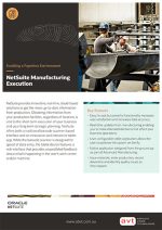 AVT - NetSuite Manufacturing Execution Data Sheet